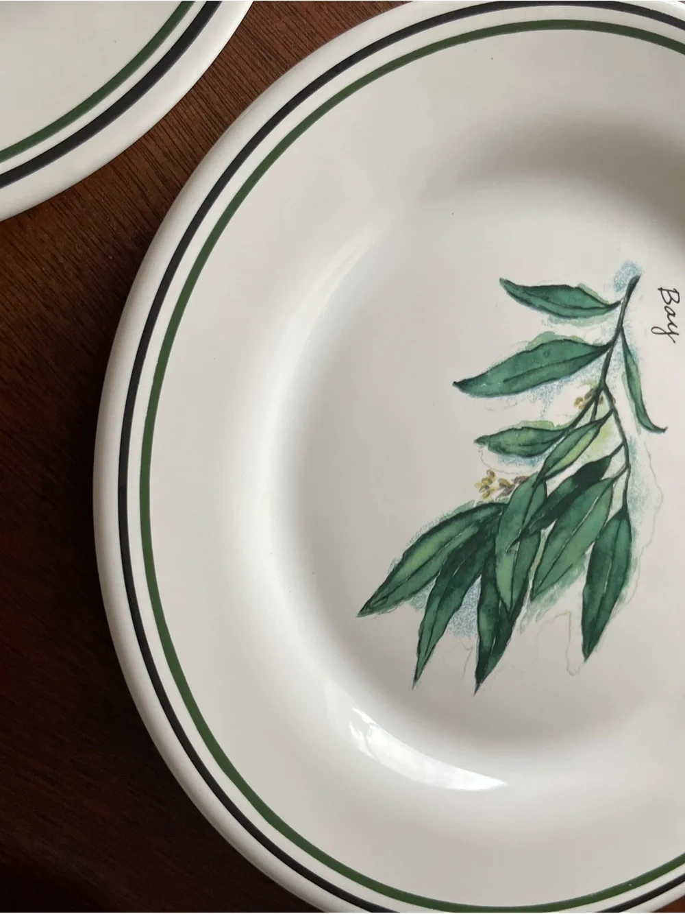 WILLIAMS SONOMA Portugal HERBS SALAD PLATES set of 4 Bay Thyme Cayenne Tarragon